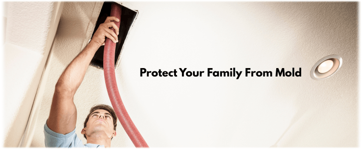 Air Duct Mold Removal in Dunwoody GA